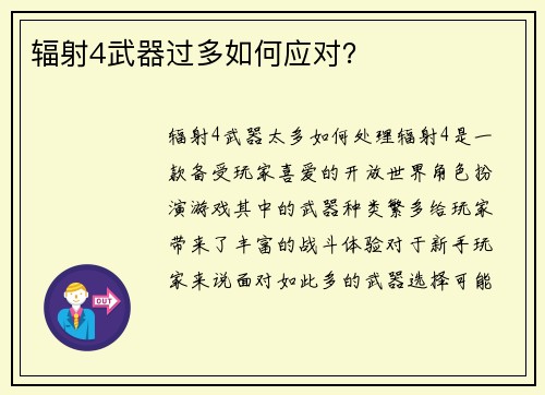 辐射4武器过多如何应对？